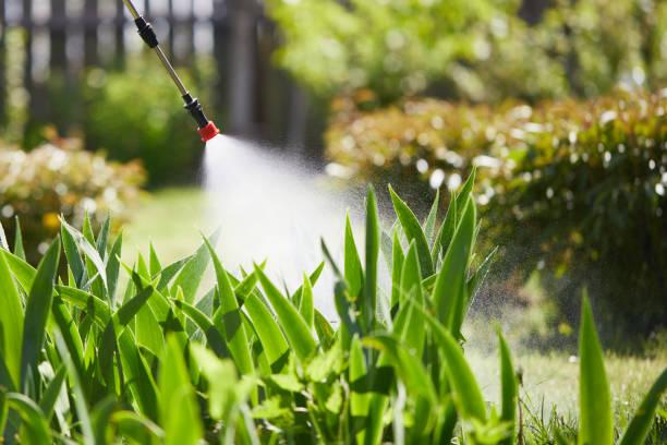 Tamper-Resistant Bait Stations for Rodents in Jacksboro
