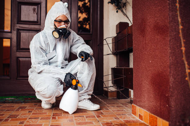 Attic and Crawl Space Rodent Treatment in Jacksboro